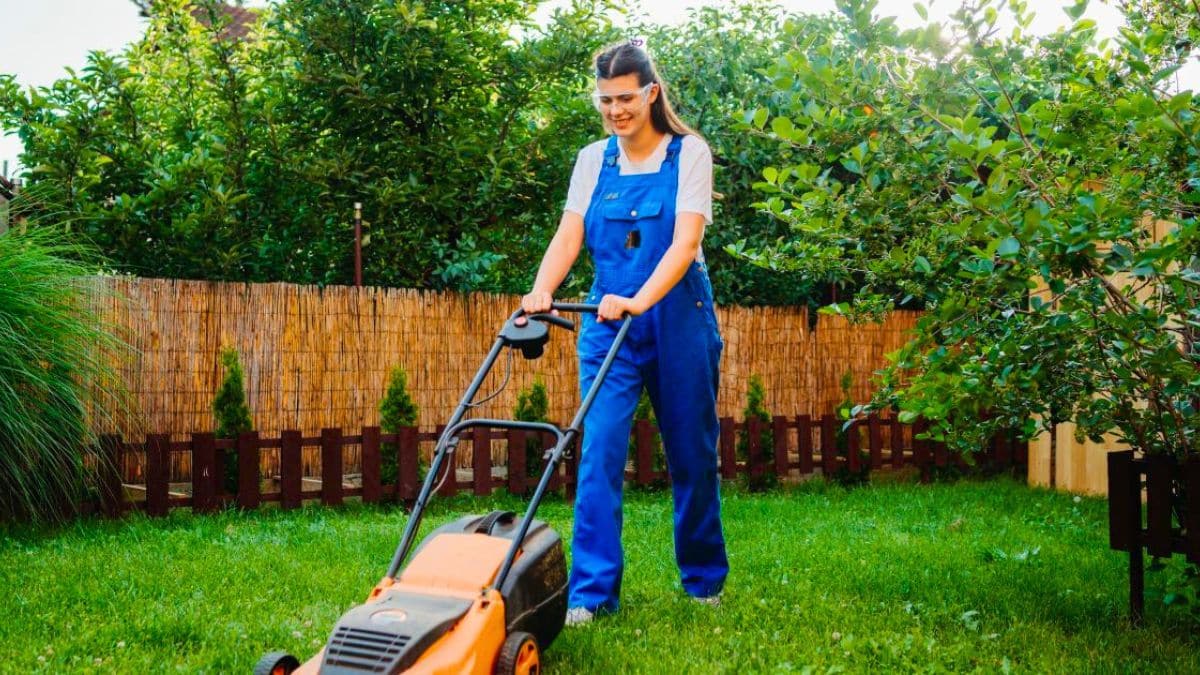 jardin moins de tonte, plus de biodiversité, cette nouvelle tendance va révolutionner votre extérieur