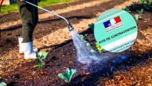 la canicule va s’abattre sur la france mais cette lourde amende attend les habitants de ces départements s’ils arrosent leur jardin