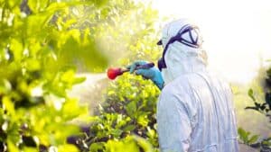 pesticides voici la méthode express venue du japon qui élimine les déchets de vos fruits en un clin d'œil
