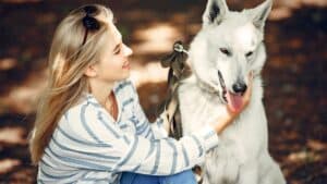 ce couple pensait avoir adopté un chien croisé... un test adn révèle qu’il s’agit d’un loup tchécoslovaque pur sang