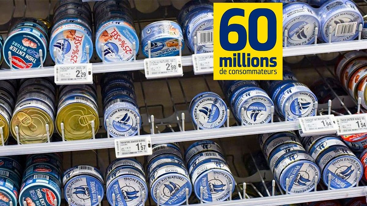 cette marque de thon presente 10 fois plus de mercure que la limite autorisee lalerte de 60 millions de consommateurs
