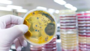 changement climatique linstitut pasteur alerte contre une evolution rapide demergence de pathogenes due au chaos ecologique