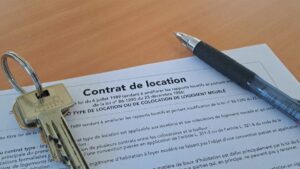 larnaque au loyer fait de nombreuses victimes aupres des locataires dans toute la france comment leviter larnaque au loyer fait de nombreuses victimes aupres des locataires dans toute la