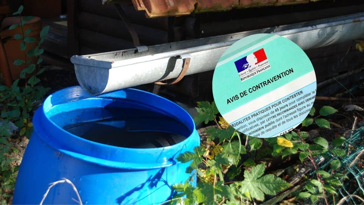 leau de pluie est elle vraiment gratuite voici pourquoi vous risquez une lourde sanction