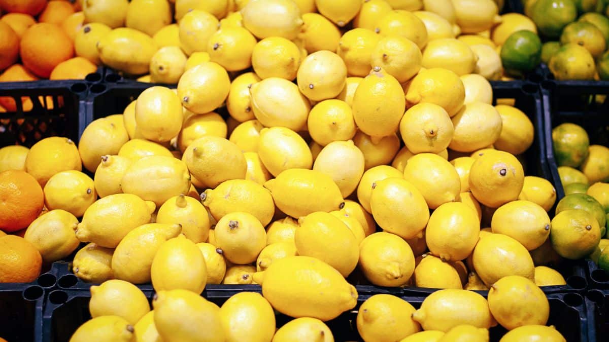 nachetez plus ces citrons en supermarche sils viennent de ces 2 pays ils sont bourres de pesticides