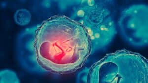 recréer des humains à partir de gènes existants ces scientifiques franchissent une étape troublante en réalisant l’impossible