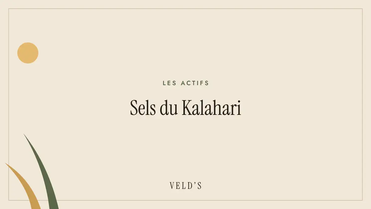 Sels du Kalahari