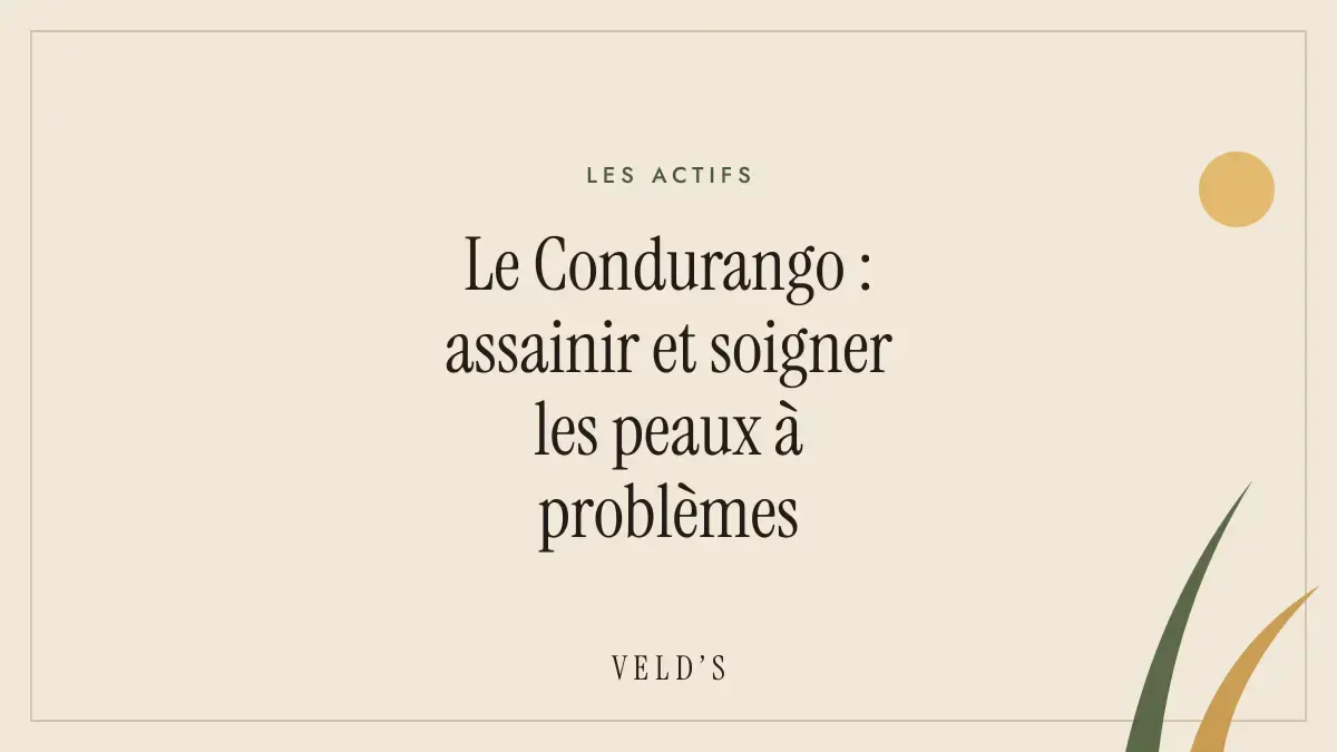 Le Condurango : assainir et soigner les peaux à problèmes