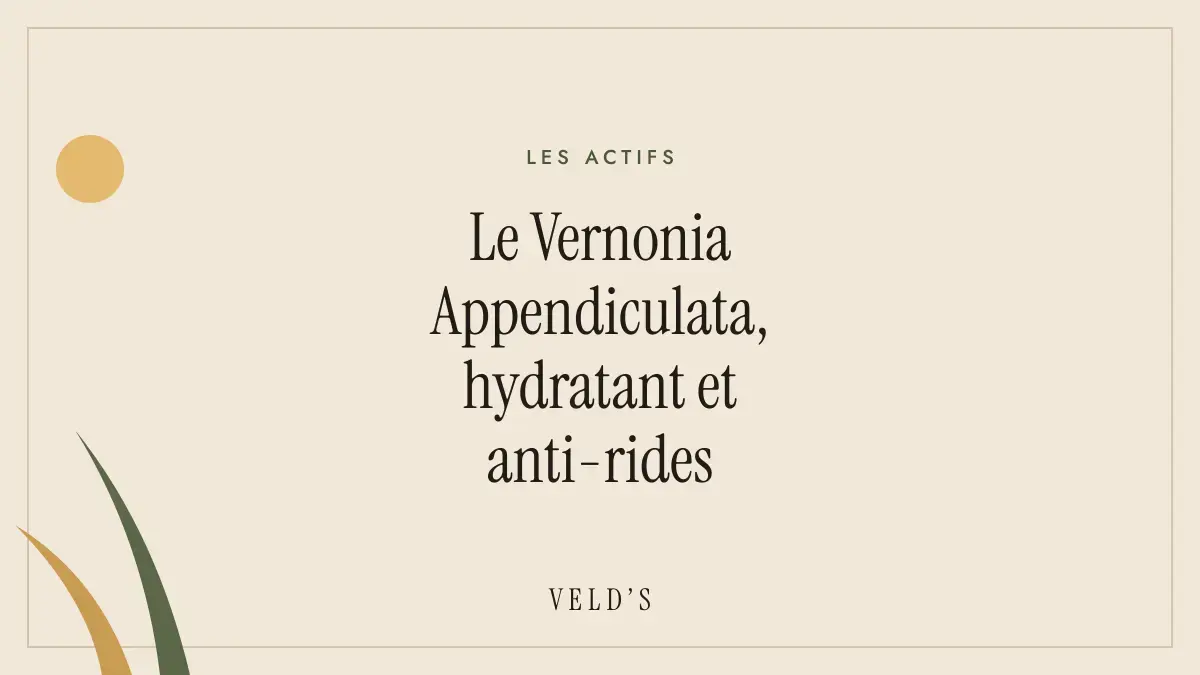 Le Vernonia Appendiculata, hydratant et anti-rides