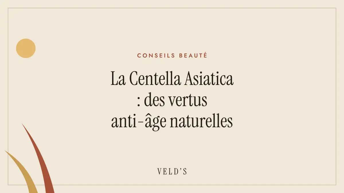 La Centella Asiatica : des vertus anti-âge naturelles