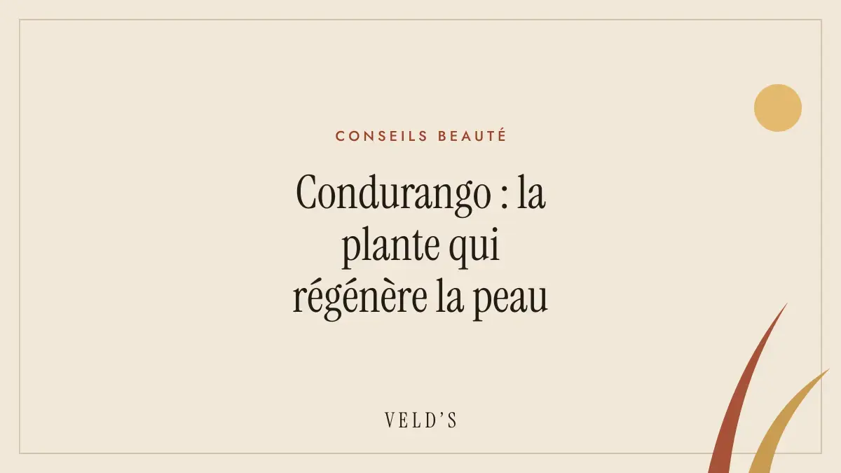 Condurango : la plante qui régénère la peau
