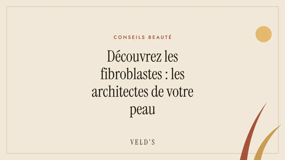 Découvrez les fibroblastes : les architectes de votre peau
