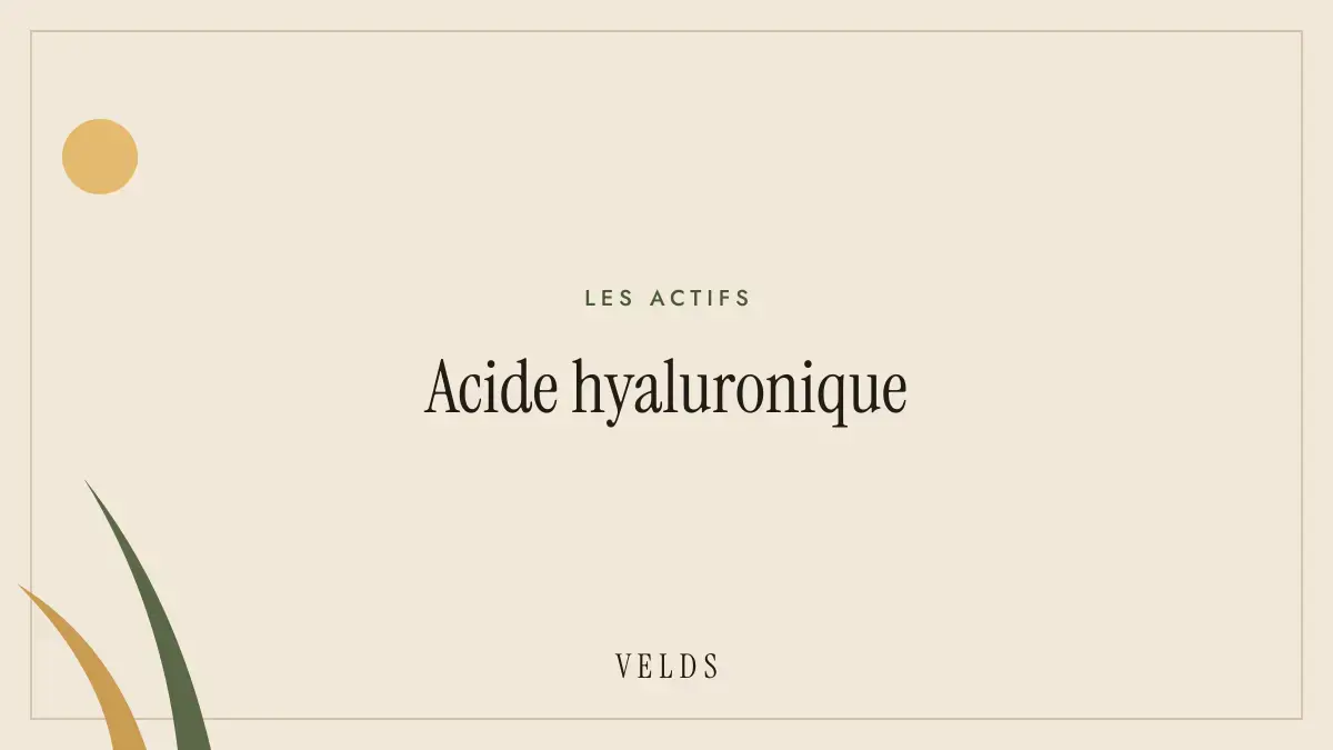 Acide hyaluronique