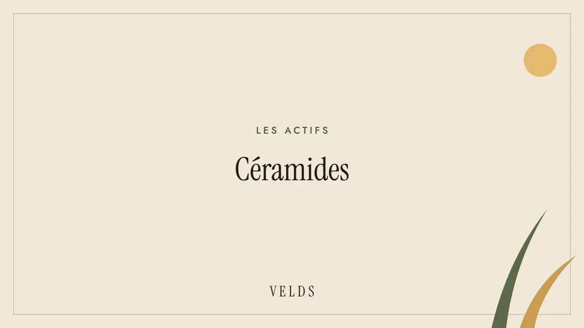 Céramides