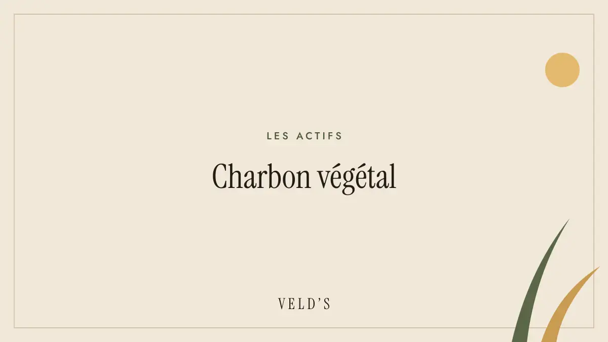 Charbon végétal