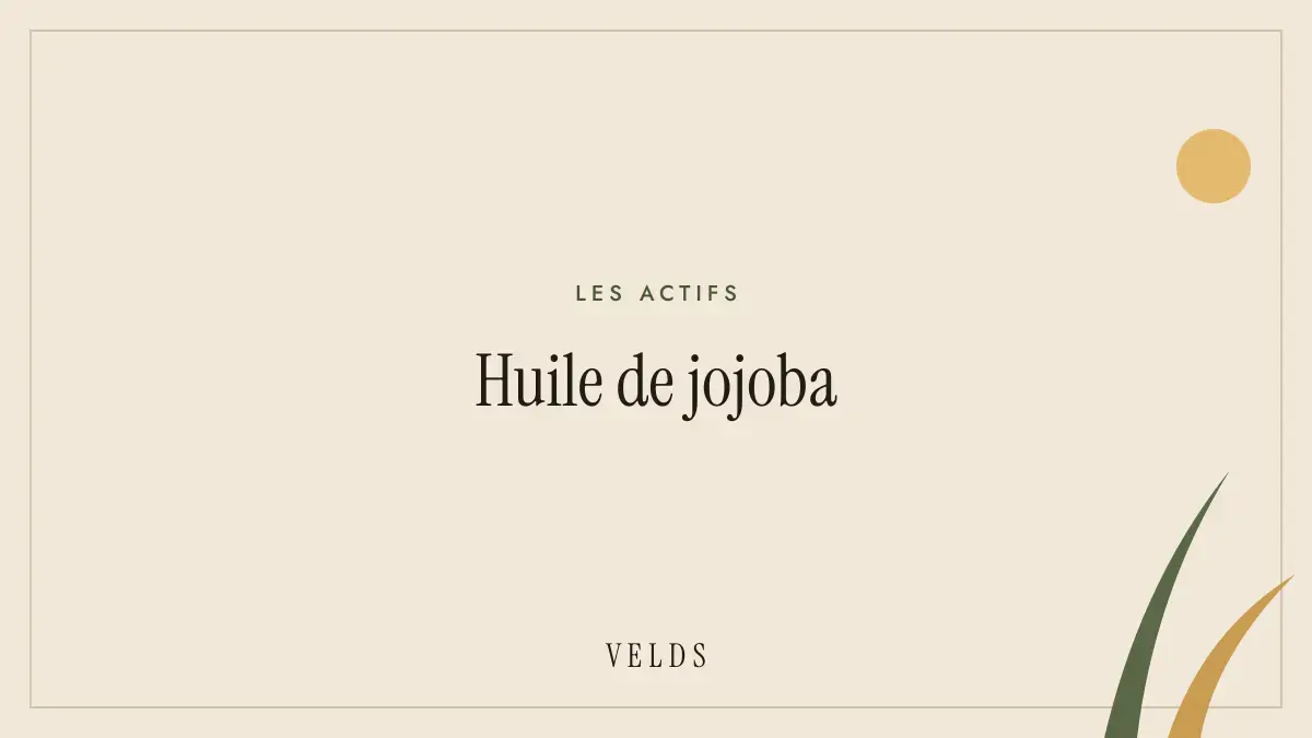 Huile de jojoba