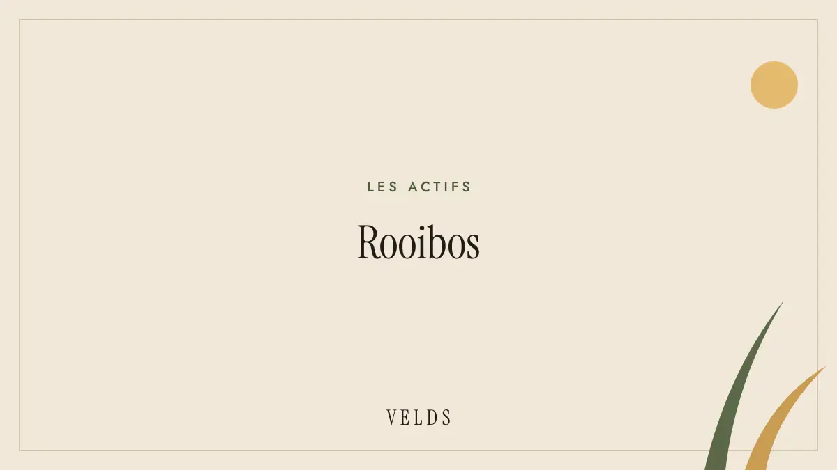 Rooibos