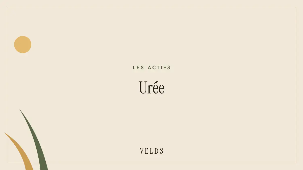 Urée